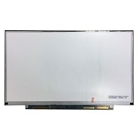 B133XW07 V.2 Laptop Screen Replacement