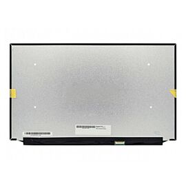 B173ZAN03.0 Laptop Screen Replacement