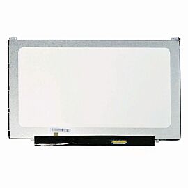 HW14WX101 Laptop Screen Replacement