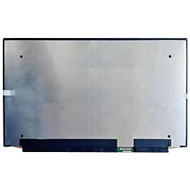 B156ZAN04.1 Laptop Screen Replacement