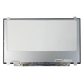 N173HHE-G32 Laptop LCD Screen Replacement