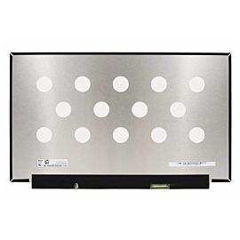 NV156FHM-N4J Laptop Screen Replacement